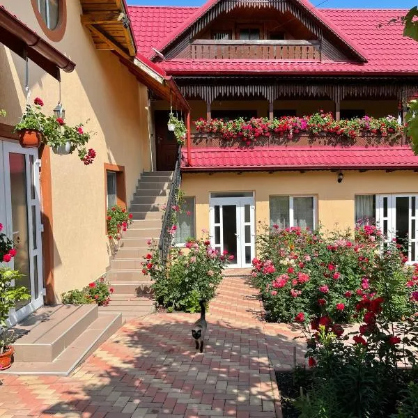Pensiunea Alina，位于Văratec的酒店