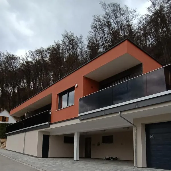Ferienwohnungen am Schlossberg，位于里登堡的酒店