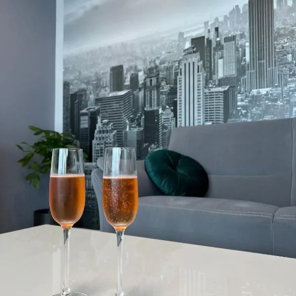 Krasta Home apartament Parking & With CITY & RIVER VIEW，位于里加的酒店