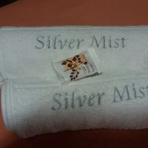 Silver Mist Guest House, Country Inn and Herberg，位于Kaapsehoop的酒店