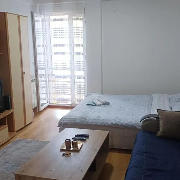 Apartman Selma - Bijelo Polje，位于比耶洛波列的酒店