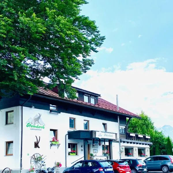 Steinbock Bed & Breakfast，位于奥伯斯特多夫的酒店