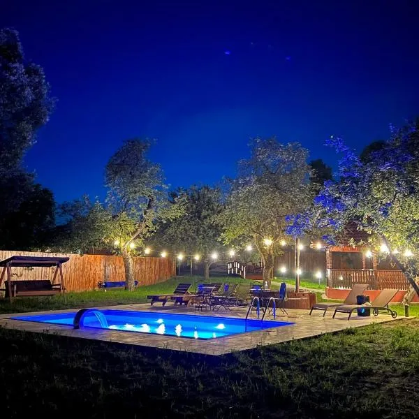 Horace Guesthouse POOL & HOT TUB & BIKES & RIVER，位于Dejani的酒店