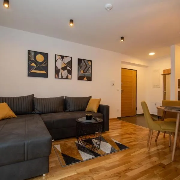 Petković apartmani 34，位于雅戈丁那的酒店