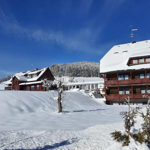 B und B Titisee Hotel Sonnenmatte nahe Badeparadies，位于Titisee的酒店