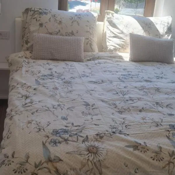 Elena - Studio Apartman，位于伊齐齐的酒店