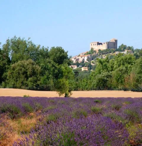 Le Provence，位于格雷乌莱班的酒店