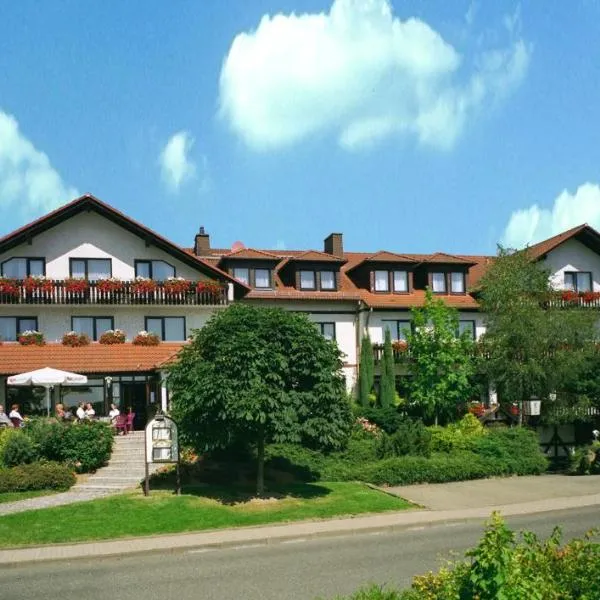 埃姆斯塔勒霍赫公园酒店，位于Naumburg的酒店