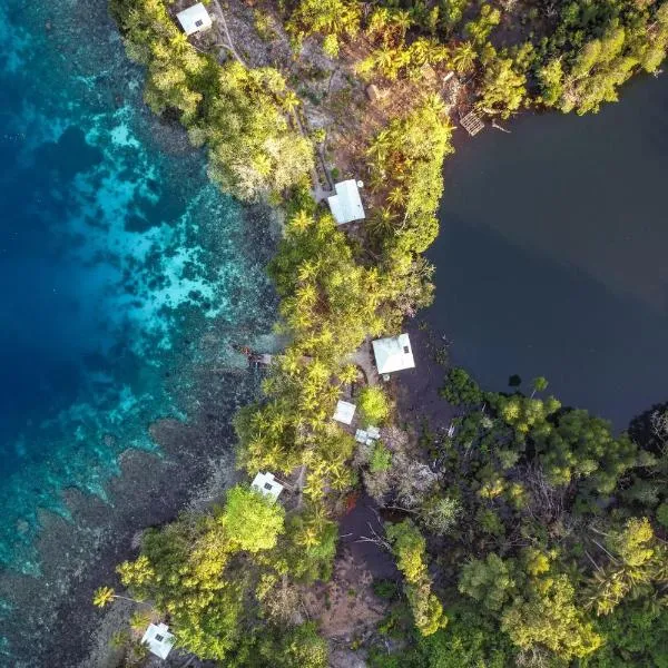 Leleana Resort Kolombangara，位于Kolombangara Island的酒店