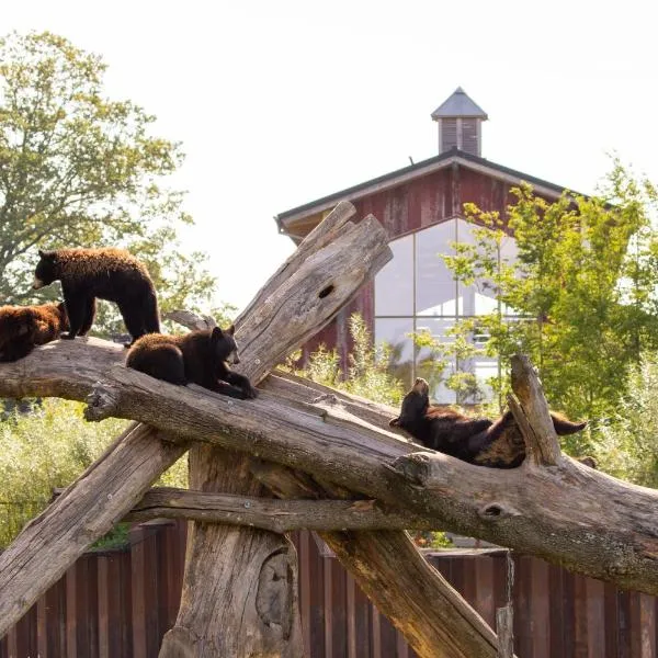 Parc Animalier de Sainte-Croix，位于Rhodes的酒店