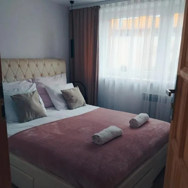 Apartamenty w Pieninach - 1 sypialnia，位于斯洛莫夫采维日奈的酒店