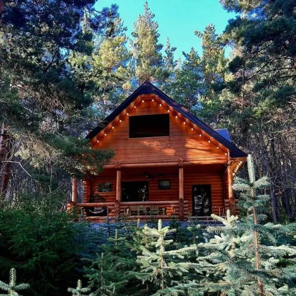 Yeghevni Rest House，位于杰尔穆克的酒店