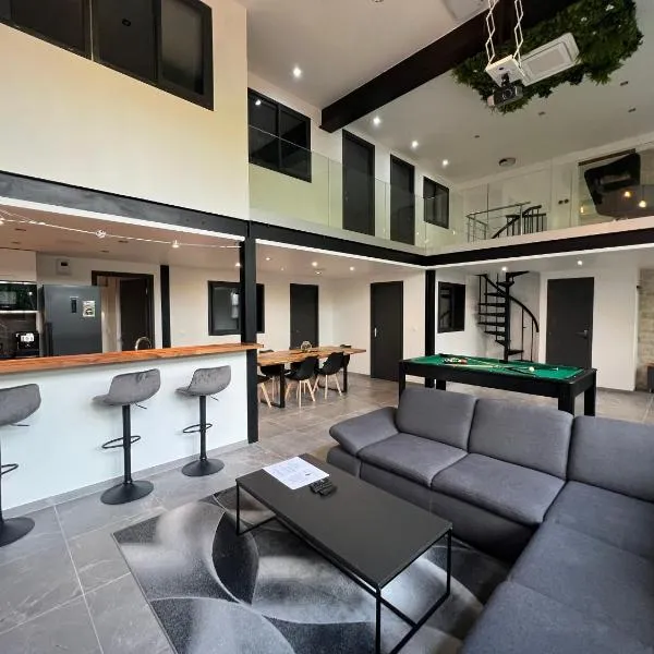 Loft entier Nancy centre et parking，位于南希的酒店