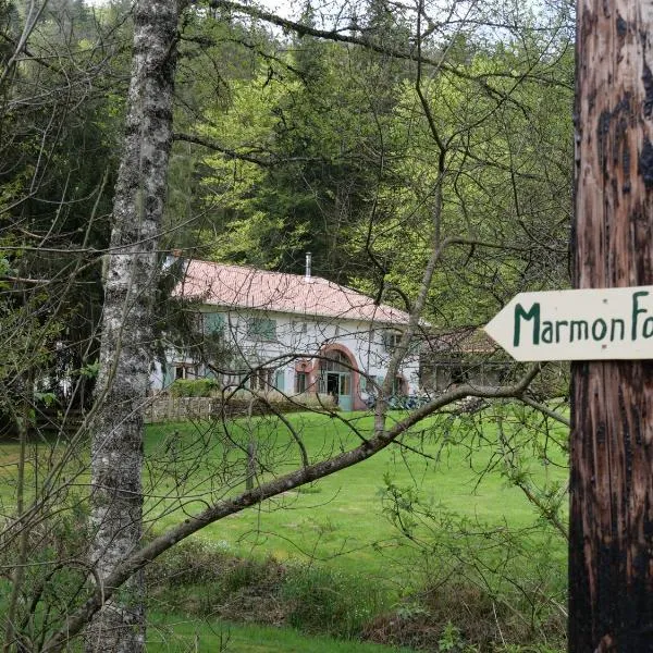 Domaine de Marmonfosse，位于Anould的酒店