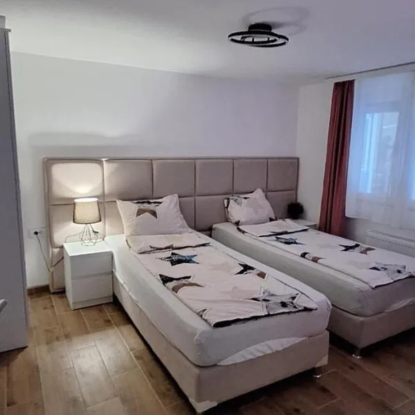 Apartman Živković，位于Vučje的酒店