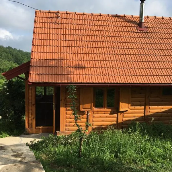 Brvnara Ruska sauna，位于Čajetina的酒店