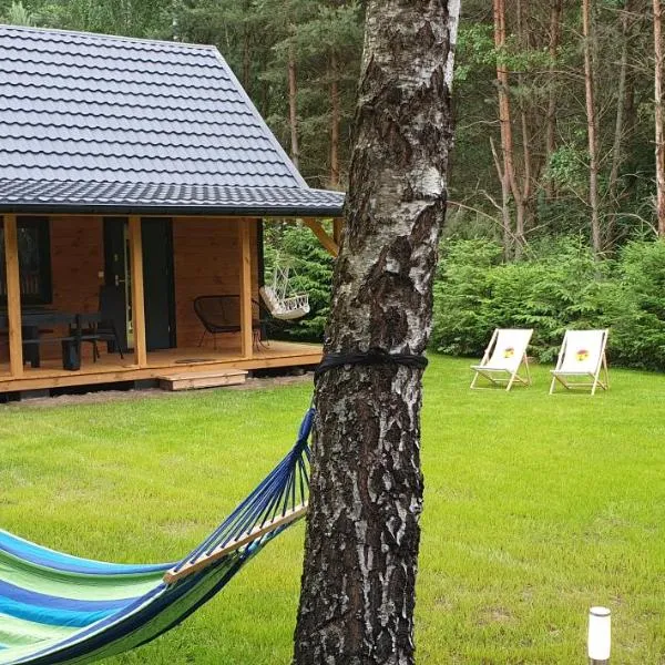 Leśne Zacisze，位于Łuka的酒店