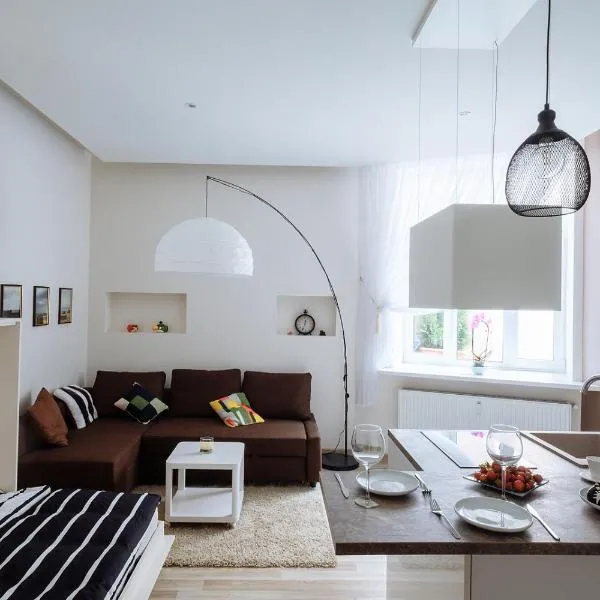 New stylish studio in the center,位于里加的酒店