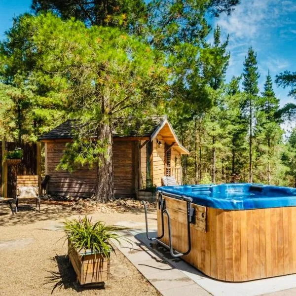 Rustic cabin with hot tub - Homewood Forest Retreat，位于Poolburn的酒店