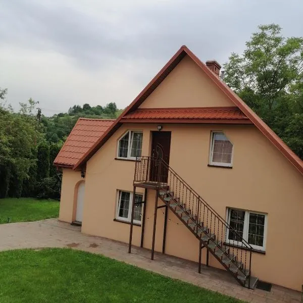 Całoroczny Domek Góry Bieszczady，位于巴利格鲁德的酒店