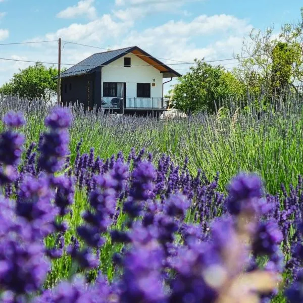 Vacation Home - NEST Kalnik，位于Kalnik的酒店