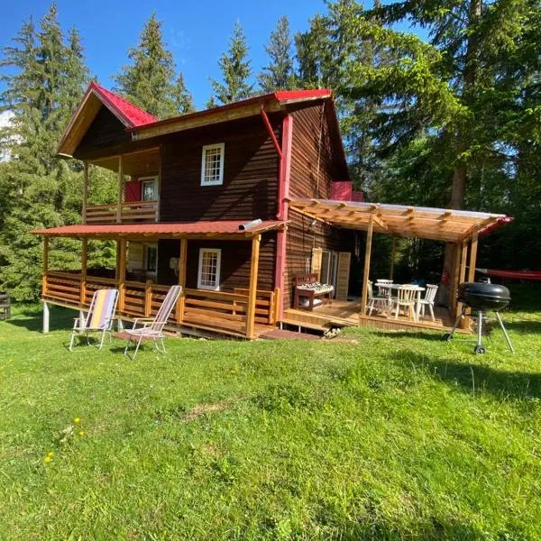 Cosy wooden house in the heart of Apuseni.，位于贝利什的酒店