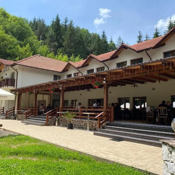 Pensiunea Perla Codrului，位于Roşia的酒店