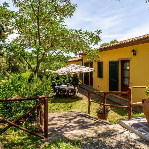 Margherita - Agriturismo La Fattoria，位于格罗塞托的酒店