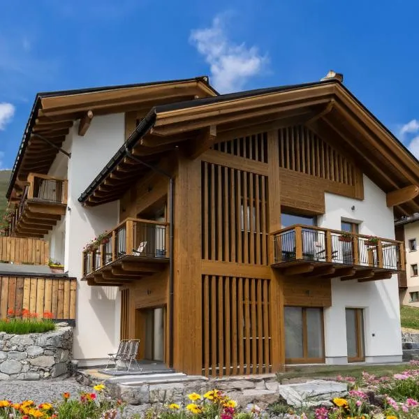 Arion Apartments - Trepalle，位于利维尼奥的酒店