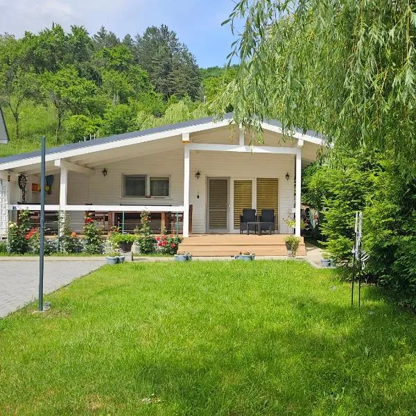 WHITE HOUSE, Vidraru，位于Căpăţîneni-Pămînteni的酒店