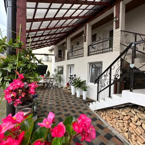 Casa RIO，位于锡吉什瓦拉的酒店
