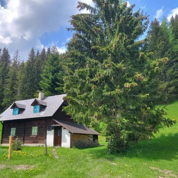 Almzeithütte am Seeberg，位于Bruck-Mürzzuschlag的酒店