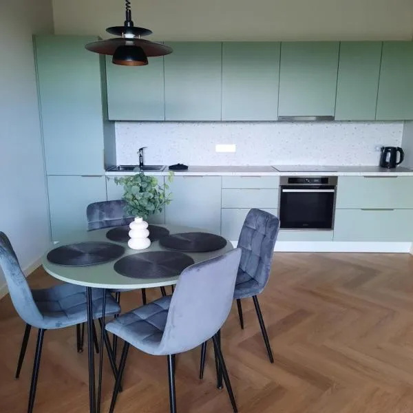 Ainių gatvės apartamentai，位于帕内韦日斯的酒店