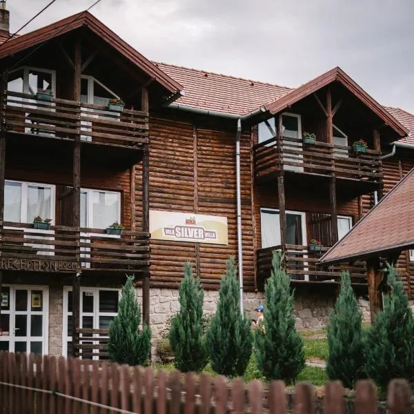 Silver Villa，位于Cozmeni的酒店