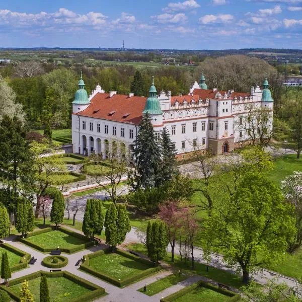 Zamek w Baranowie Sandomierskim，位于巴拉诺夫桑多米尔斯基的酒店