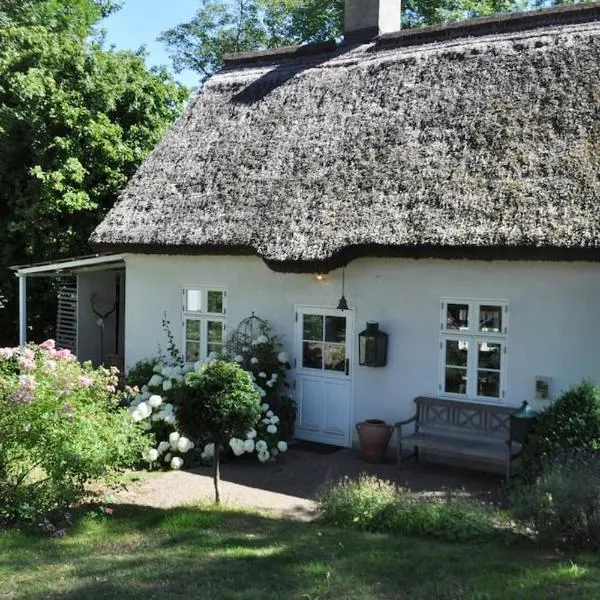 Zauberhaftes englisches Cottage am Gutshaus，位于Groß Schoritz的酒店