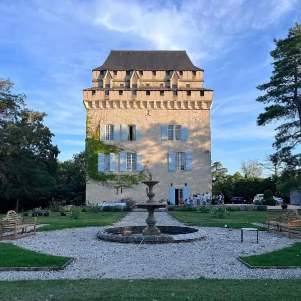 Château Déhès Gazaupouy 1 chambre d'hôte et 1 Gite，位于Saint-Vincent-de-Lamontjoie的酒店