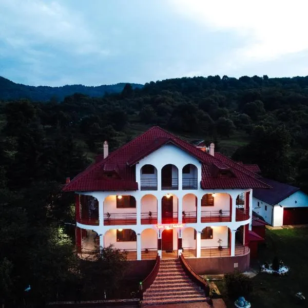 Casa cu Elefanți，位于Berevoeşti的酒店