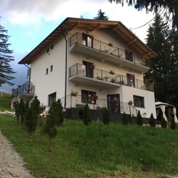 Casa dintre Brazi，位于Statiunea Borsa的酒店