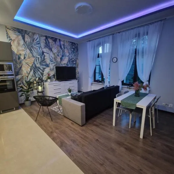 Apartament Blisko Natury，位于奥尔什丁的酒店