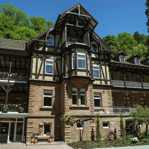 路易斯酒店，位于Pleisweiler-Oberhofen的酒店