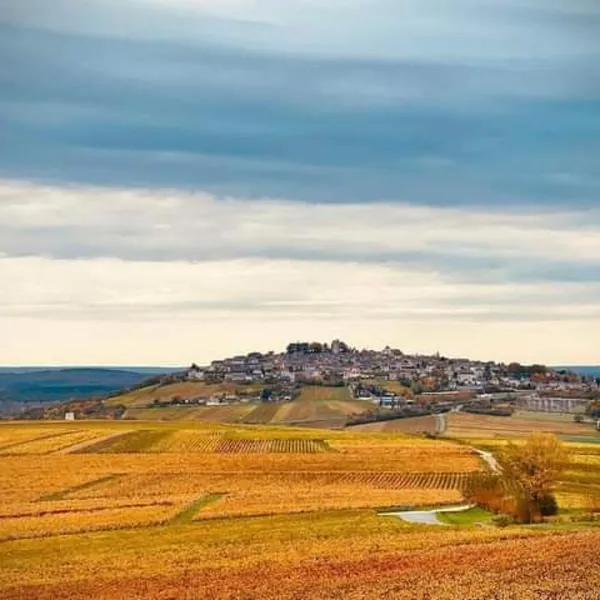 Gite Entre vignes et Loire，位于Thauvenay的酒店
