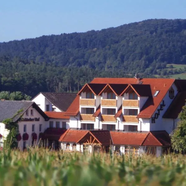 Wagners Fränkischer Hof，位于Weismain的酒店