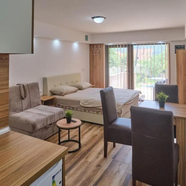 Apartmani Tvins，位于索科矿泉村的酒店