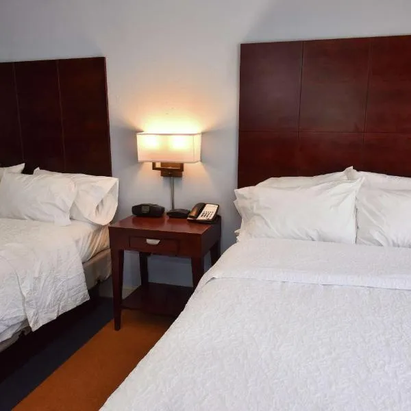 亚历山大城汉普顿酒店，位于亚历山大城的酒店