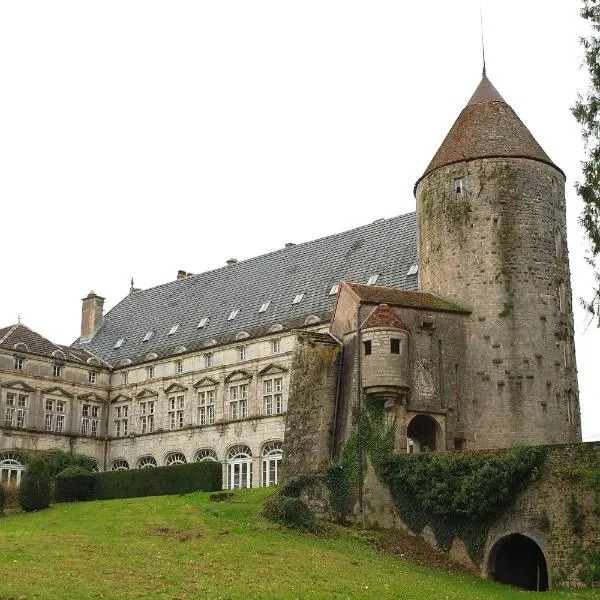 Chateau de Frasne，位于Frétigney-et-Velloreille的酒店