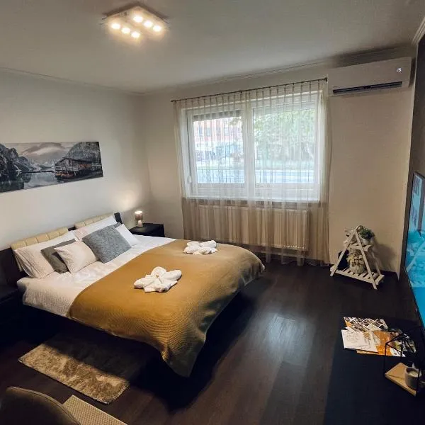 Borisz Apartman，位于毛科的酒店