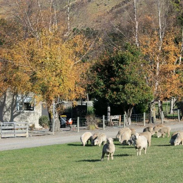 Bauchops Hill Station Farmstay，位于费尔利的酒店