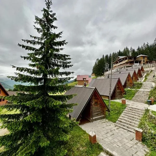 Hotel Te Liqeni，位于佩奇的酒店