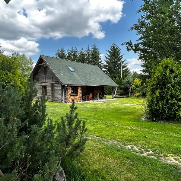 log cabin in Czech-Saxon Switzerland，位于Rybniště的酒店